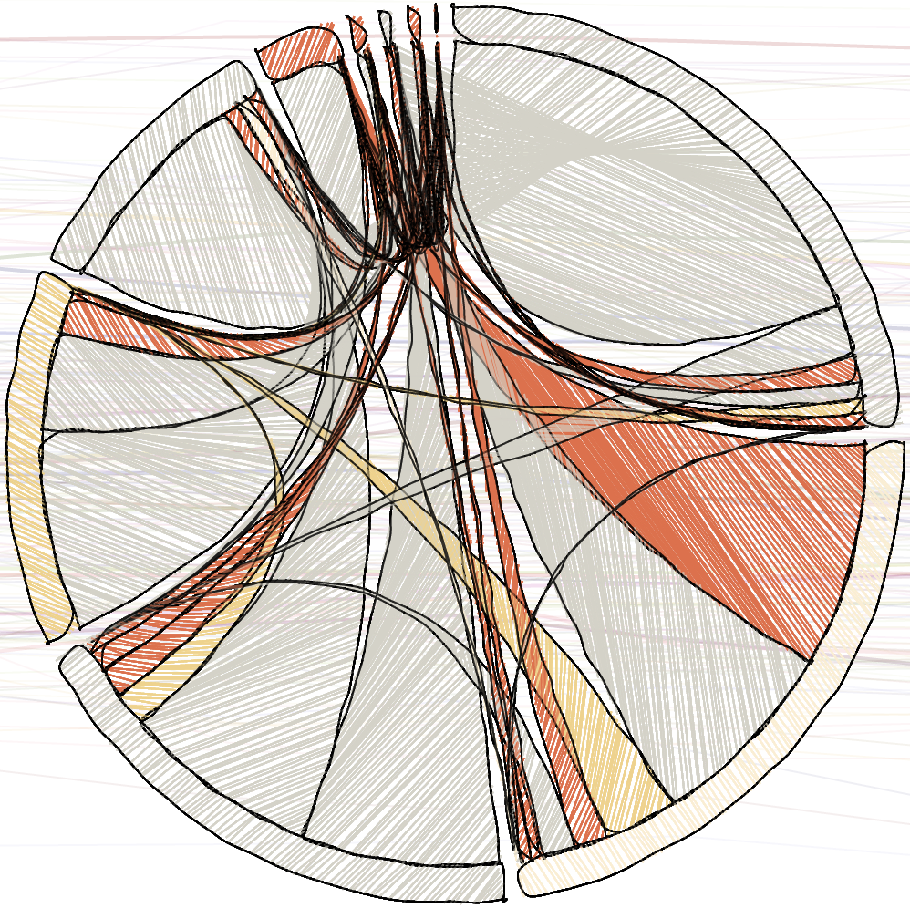 Sketchy Network