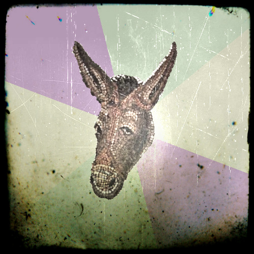 Digital Humanities Donkey Hip