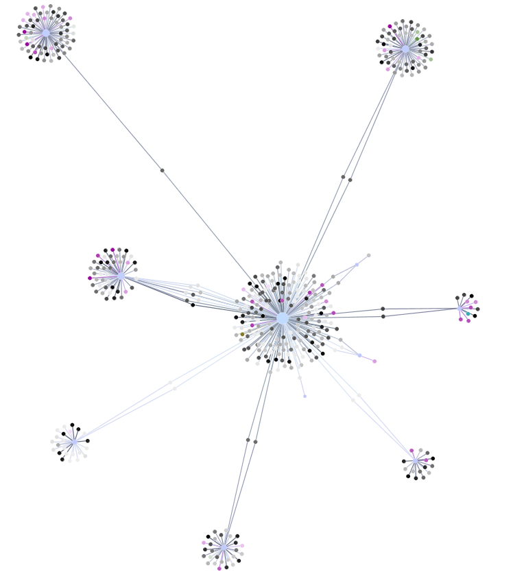 Another typical cluster in a Twitter Network