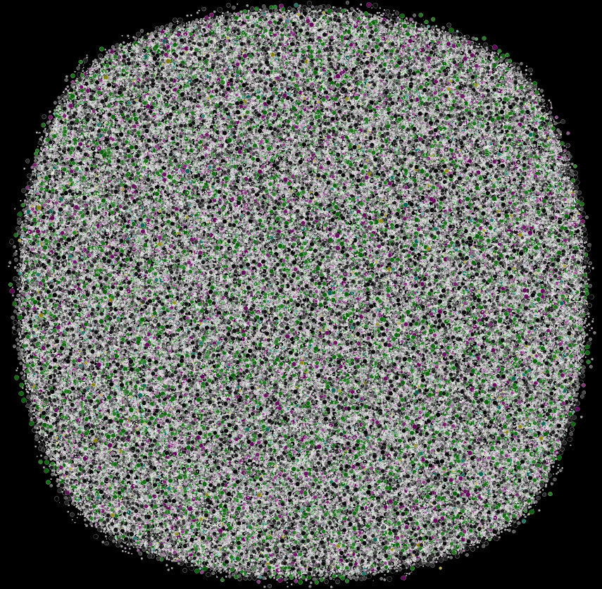 One view of the entire network