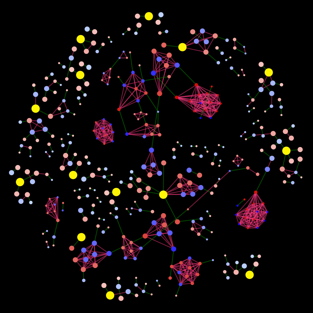 A genealogical network A genealogical network