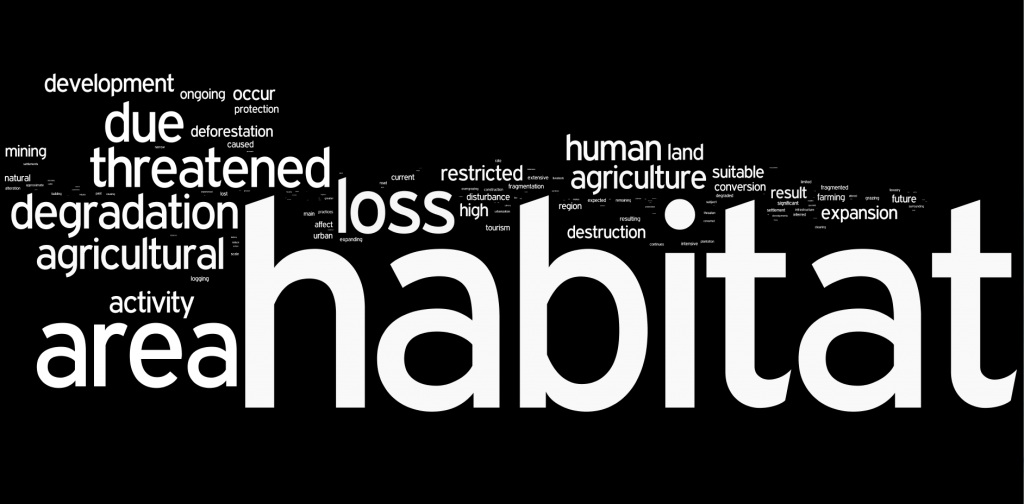 Topic Cloud 2