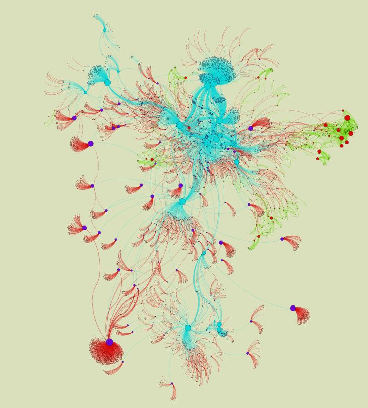 Top Contributors to the Catalogue of Life