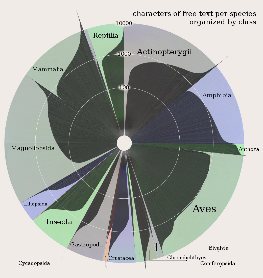 Amount of writing about species by class in the IUCN Red List Database