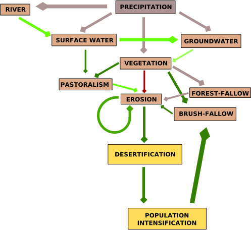 A Socio-Environmental Model