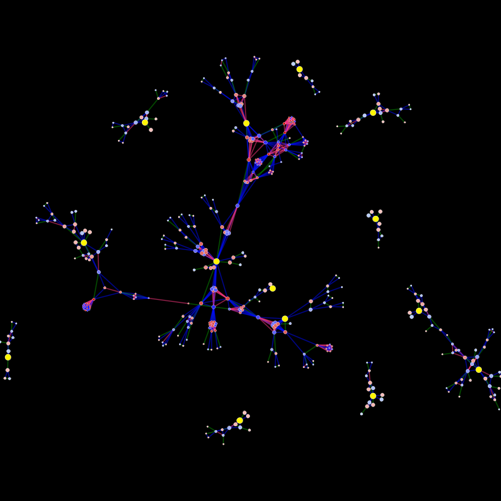 A genealogical network A genealogical network