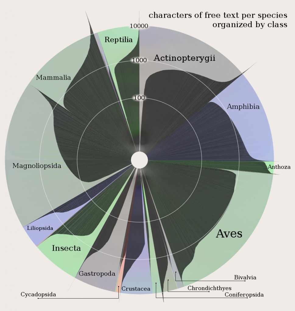 Amount of writing about species by class in the IUCN Red List Database