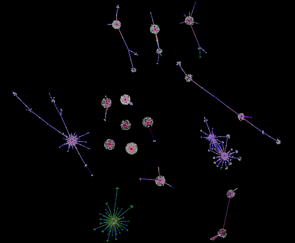 Large components of a twitter network