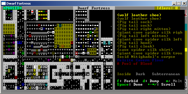 Dwarf Fortress Screenshot