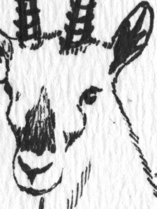 Remember, Gazey the pen-and-ink gazelle is always watching you at Seven Lions.